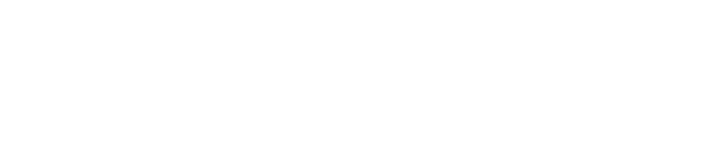 RaceRoom